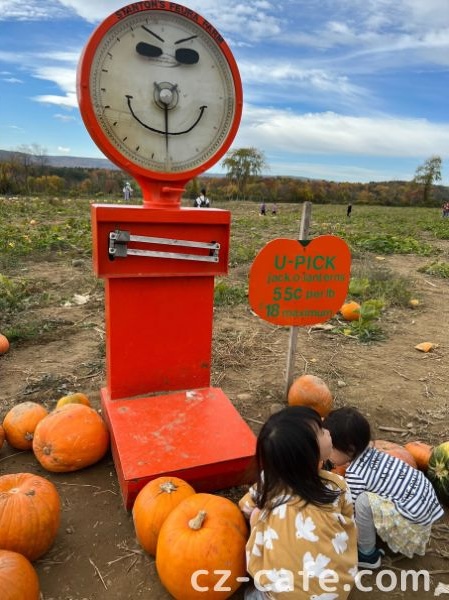かぼちゃの計量器の写真